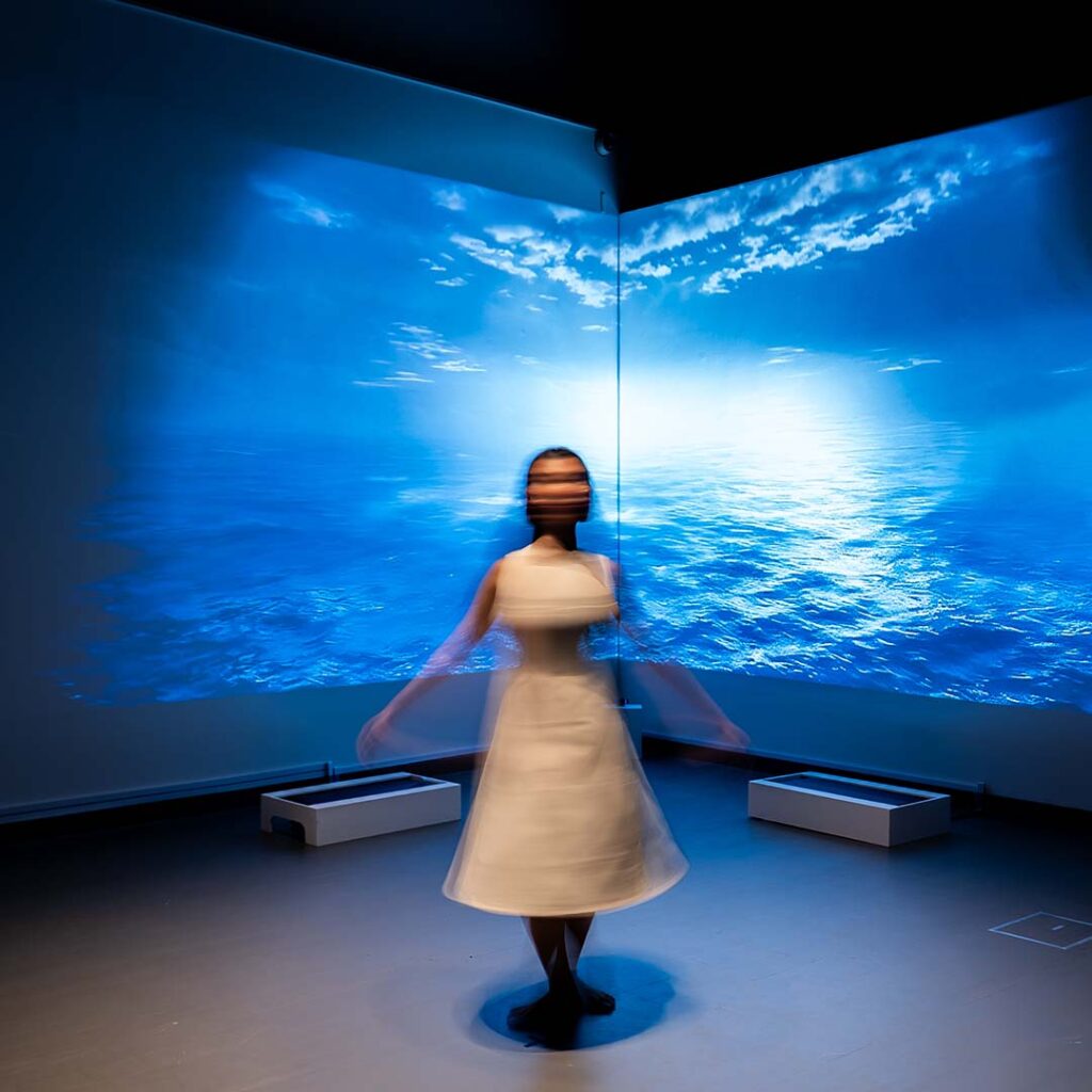 Constructing Selves Faces of a Shifting Form_01