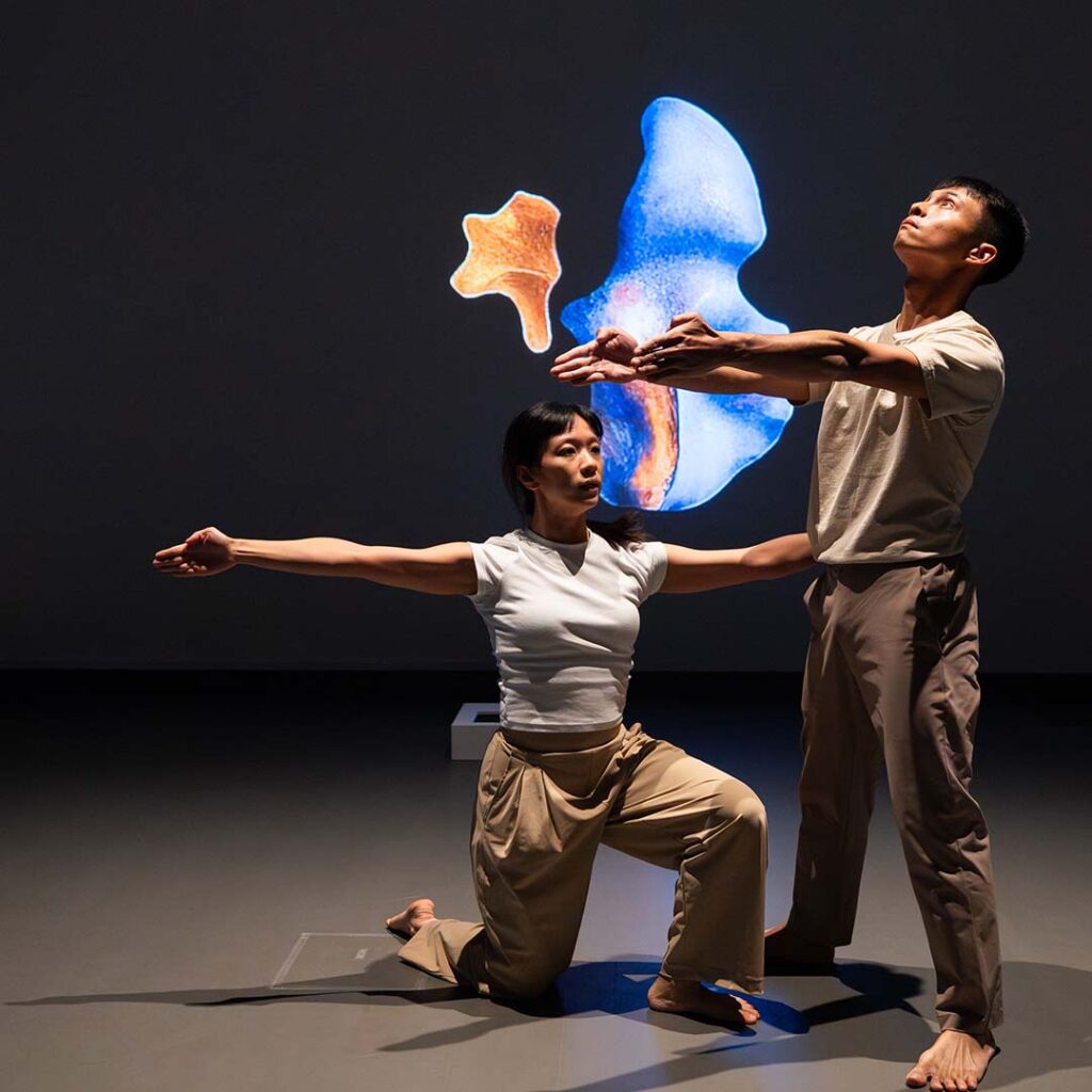 Constructing Selves Faces of a Shifting Form_03