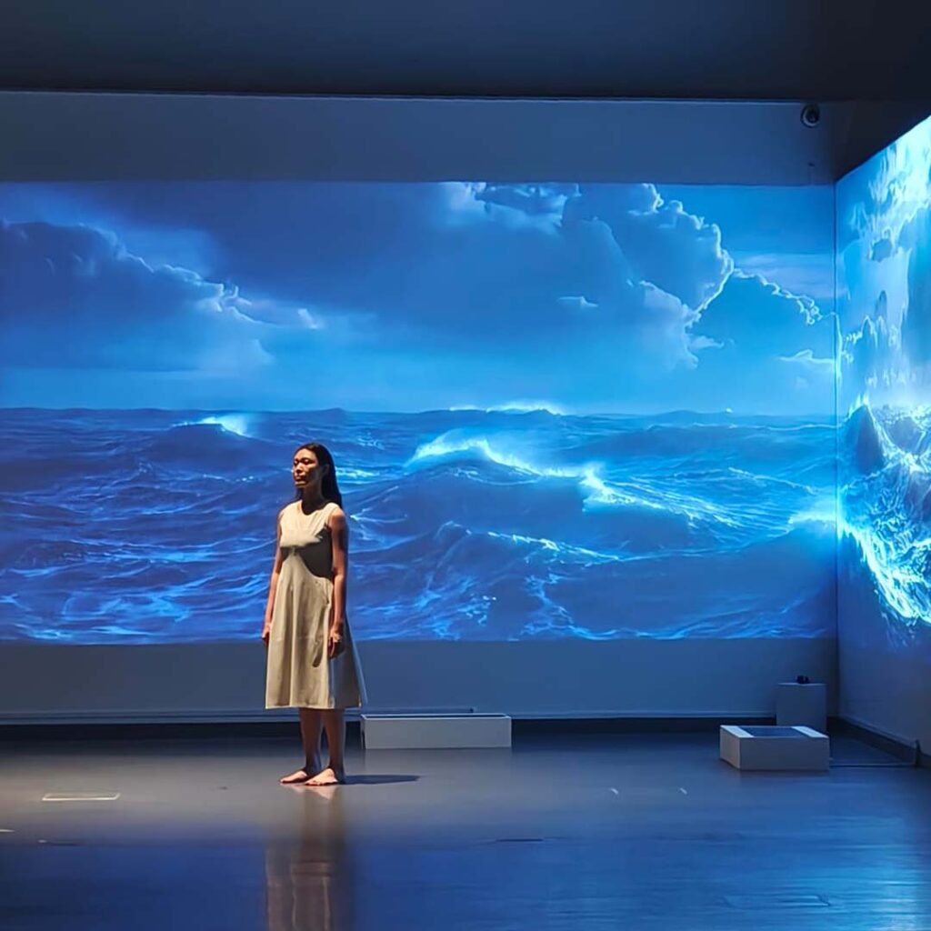 Constructing Selves Faces of a Shifting Form_04