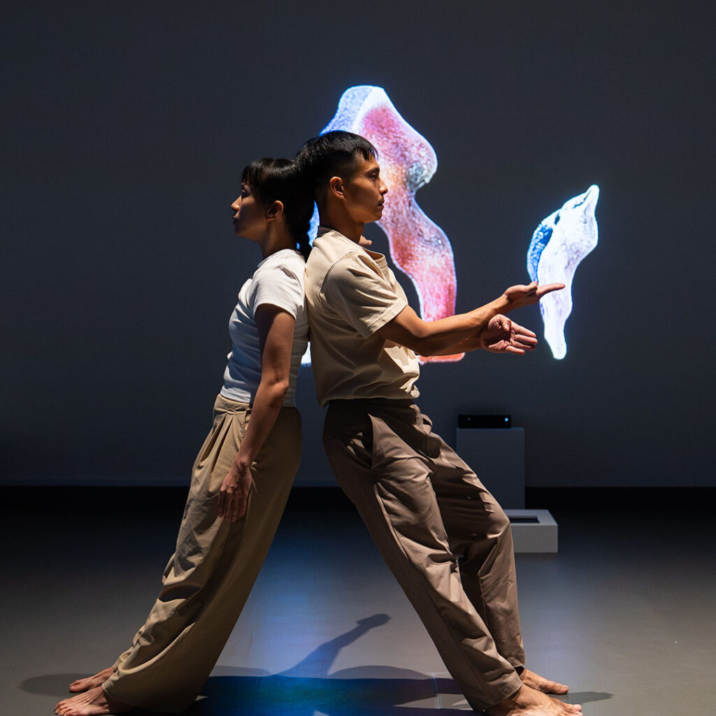 Constructing Selves Faces of a Shifting Form_05