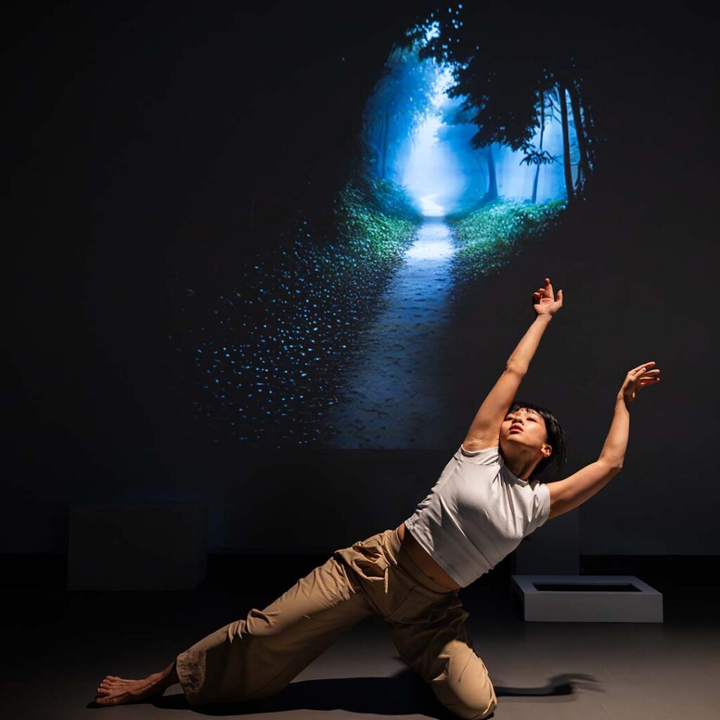 Constructing Selves Faces of a Shifting Form_06