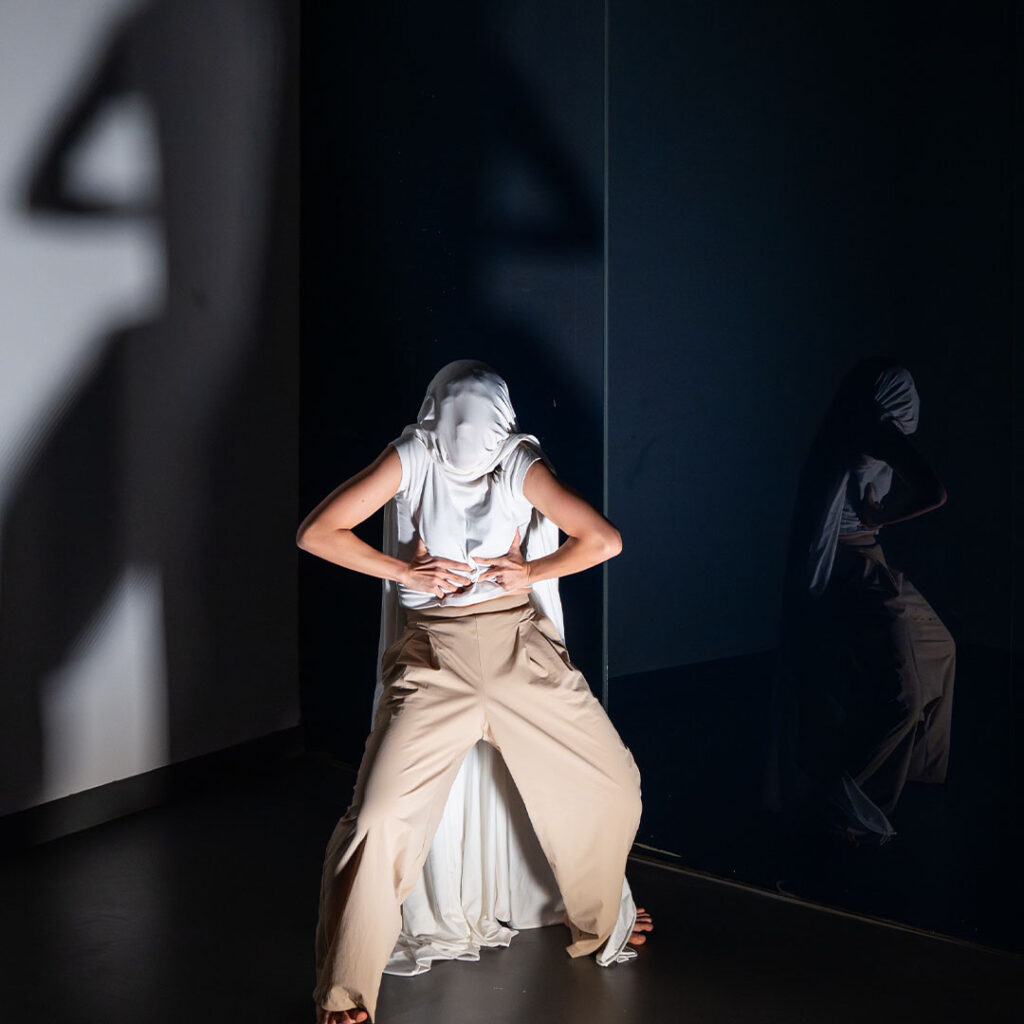 Constructing Selves Faces of a Shifting Form_07