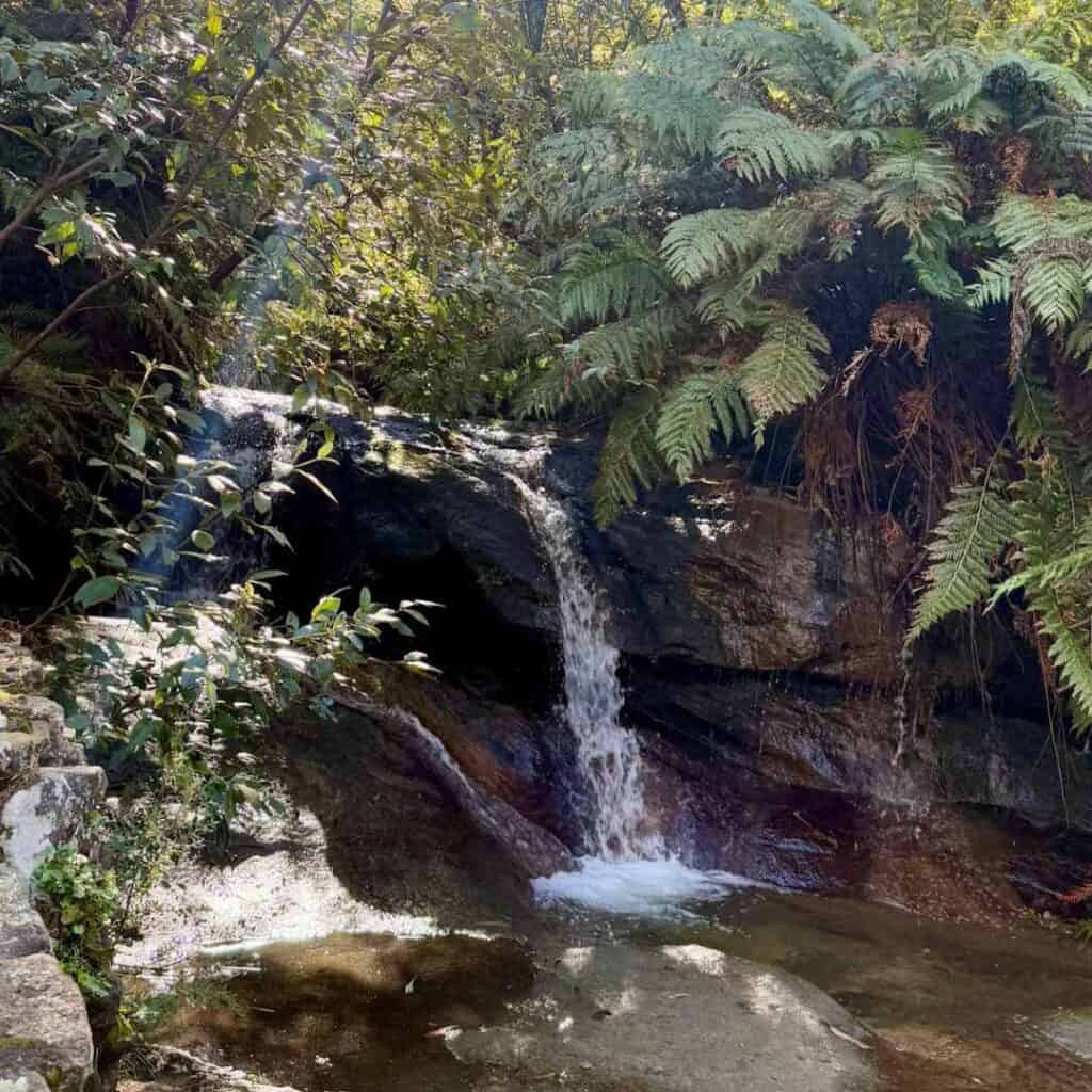 Gently down the stream…